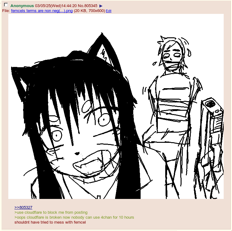 femcel 4chan revenge.png